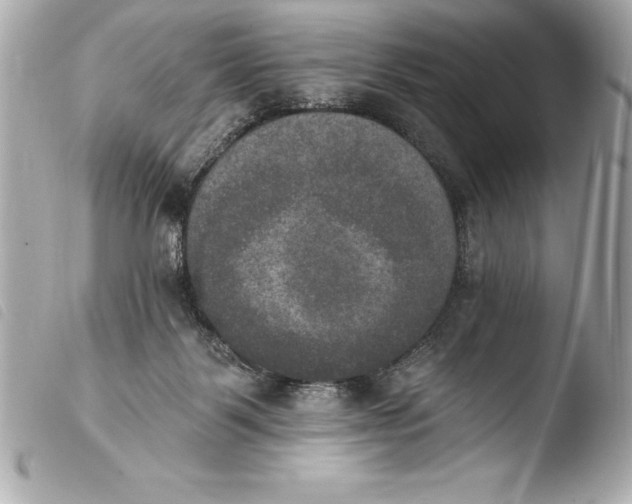 X0000103950123200810031355