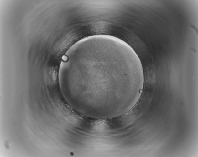 X0000103950124200810031355