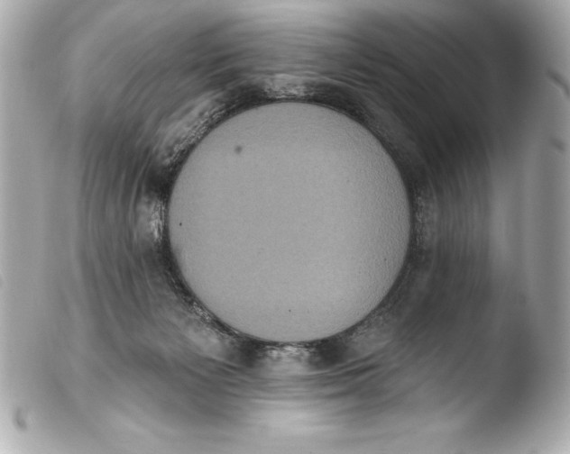 X0000103950125200810031355