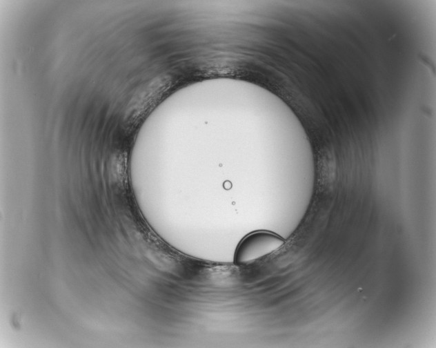 X0000103950126200810031355