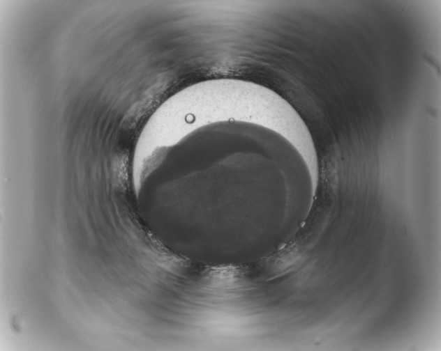 X0000103950127200810031355