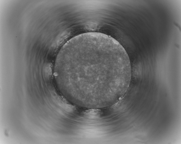 X0000103950128200810031355