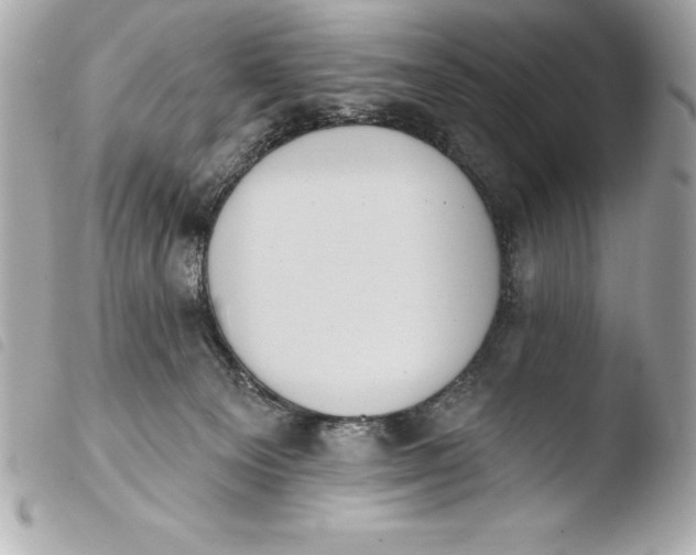 X0000103950129200810031355