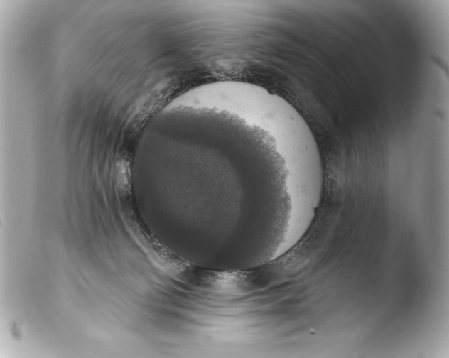 X0000103950130200810031355