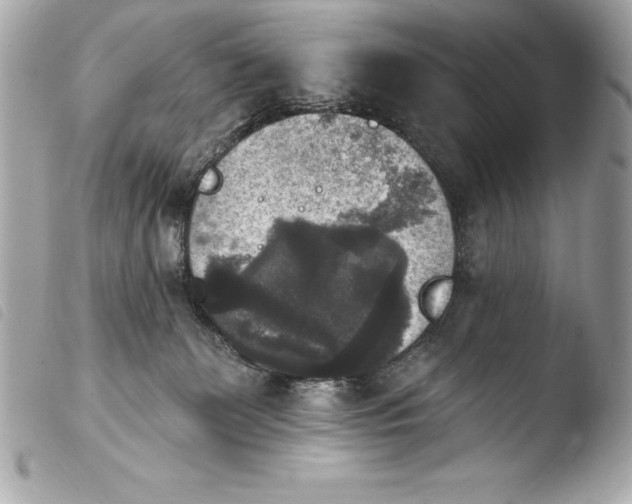 X0000103950131200810031355