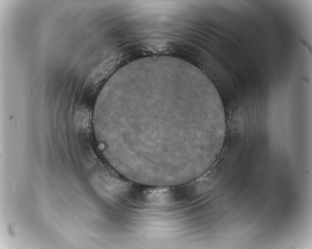 X0000103950132200810031355