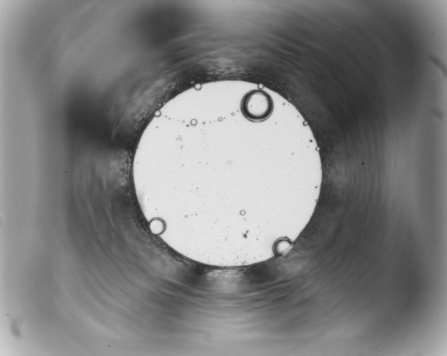 X0000103950133200810031355