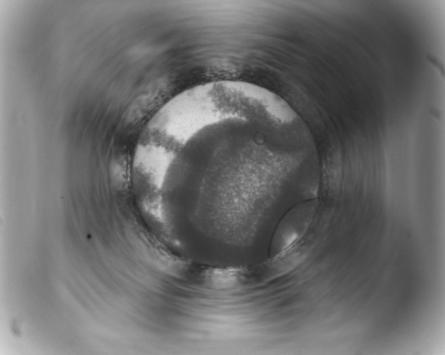 X0000103950134200810031355