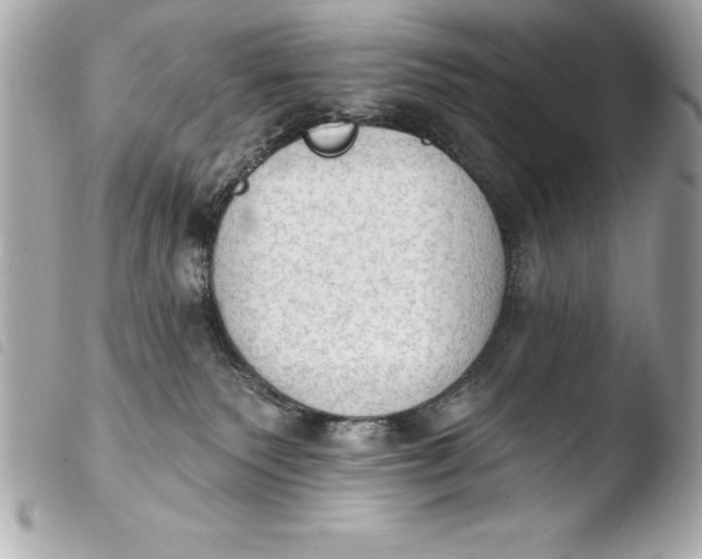 X0000103950135200810031355