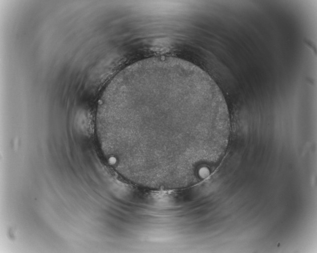 X0000103950136200810031355