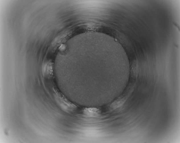 X0000103950137200810031355