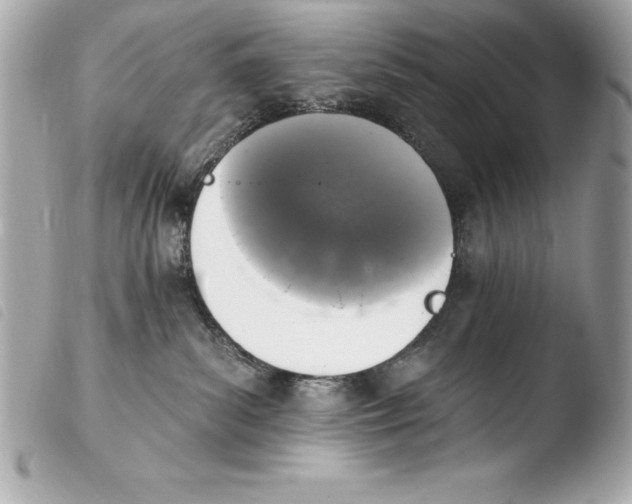 X0000103950139200810031355