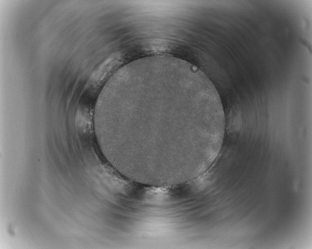 X0000103950140200810031355