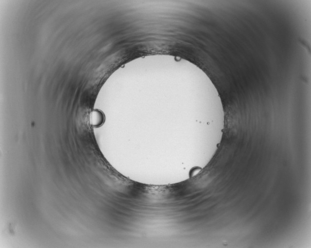 X0000103950141200810031355