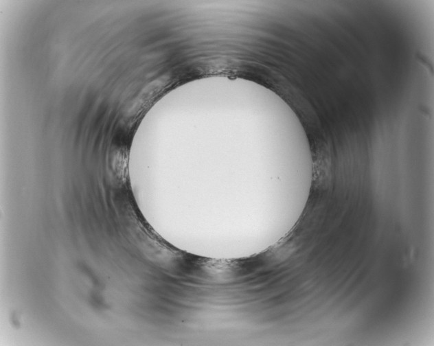 X0000103950142200810031355