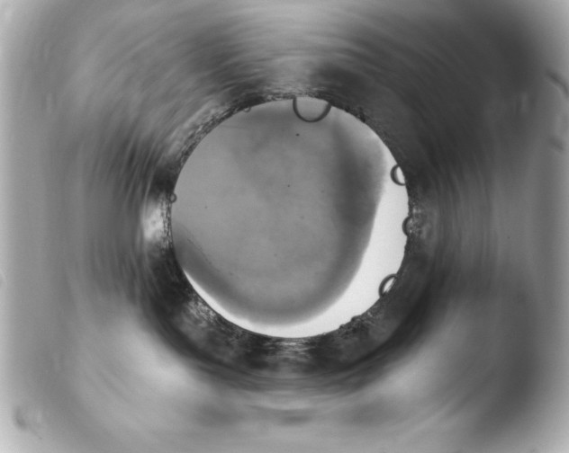 X0000103950143200810031355