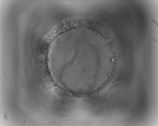 X0000103950144200810031355