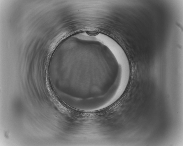 X0000103950145200810031354