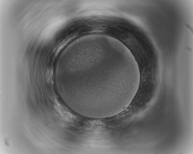 X0000103950146200810031354