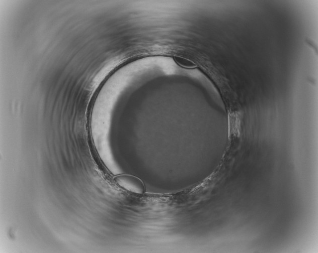 X0000103950147200810031354