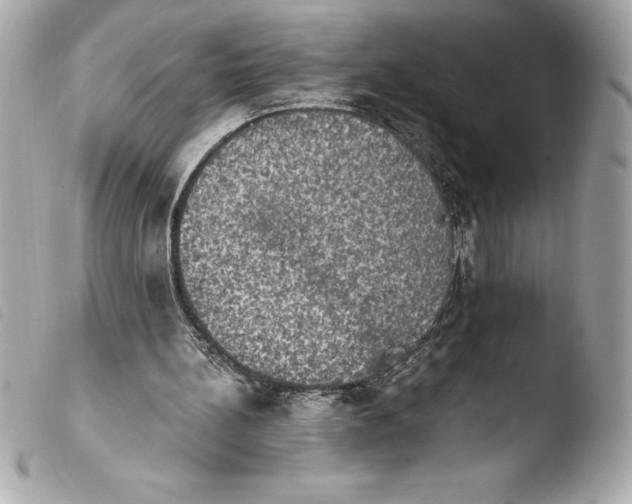 X0000103950148200810031354