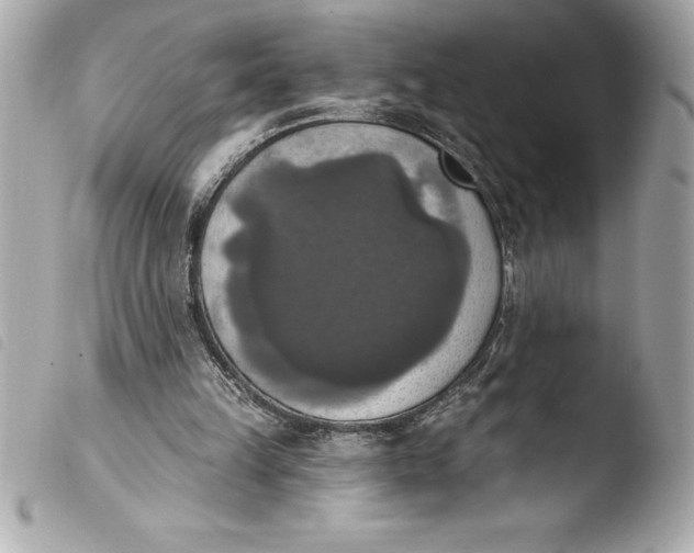 X0000103950149200810031354