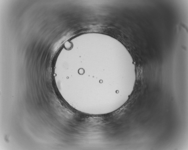 X0000103950150200810031354