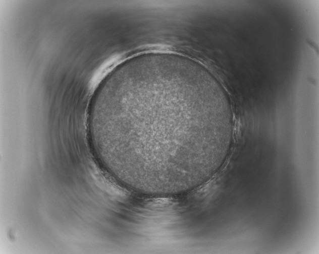 X0000103950151200810031354