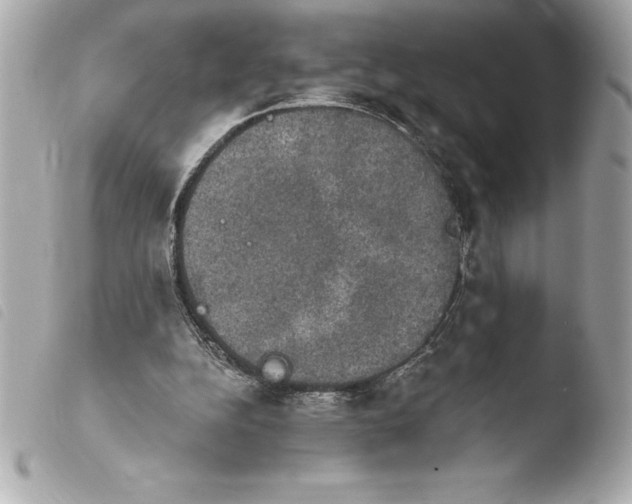 X0000103950152200810031354