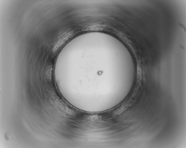 X0000103950153200810031354