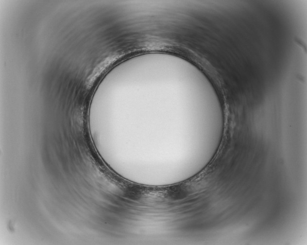 X0000103950155200810031354