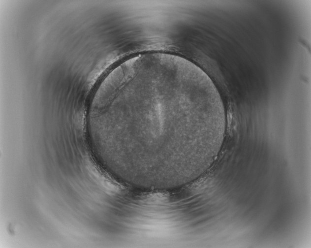 X0000103950156200810031354