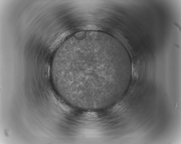 X0000103950157200810031354