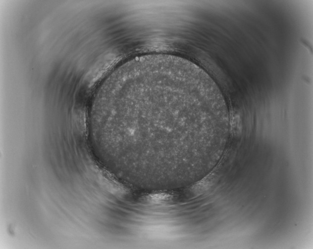 X0000103950158200810031354