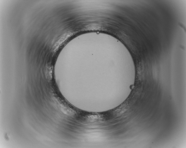 X0000103950160200810031354