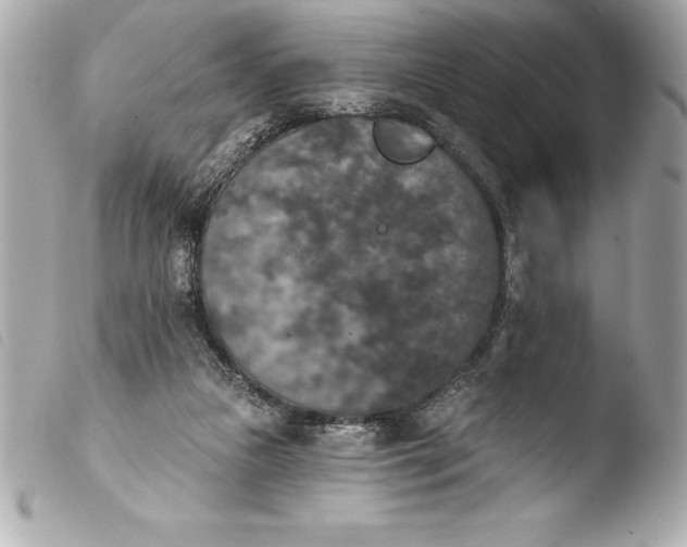 X0000103950161200810031354