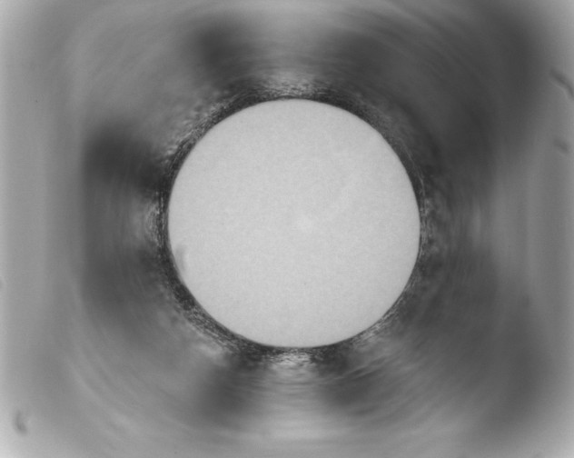 X0000103950162200810031354