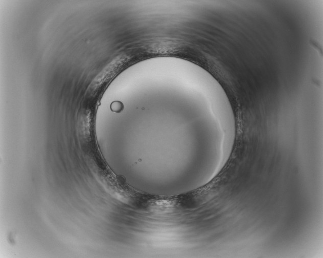 X0000103950163200810031354