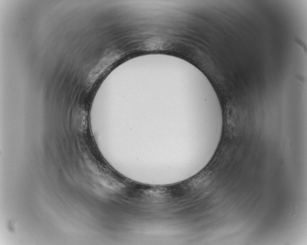 X0000103950164200810031354