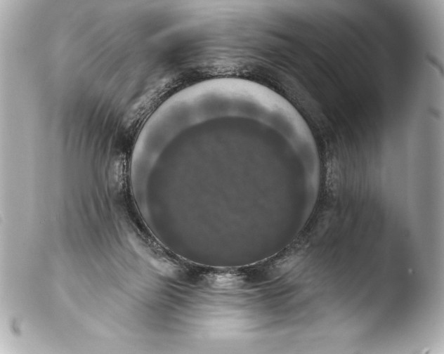 X0000103950165200810031354