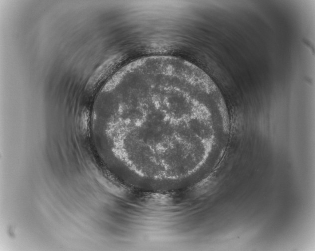 X0000103950166200810031354