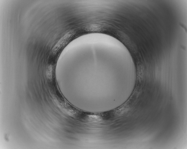 X0000103950167200810031354