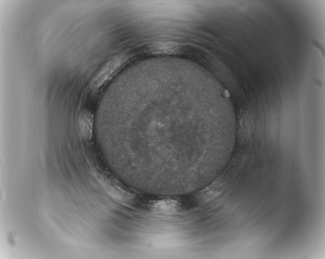 X0000103950168200810031354