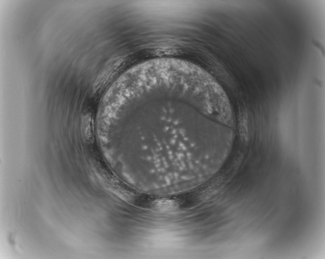 X0000103950169200810031354