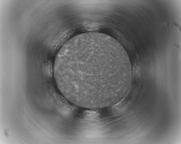 X0000103950170200810031354