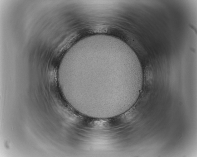 X0000103950172200810031354