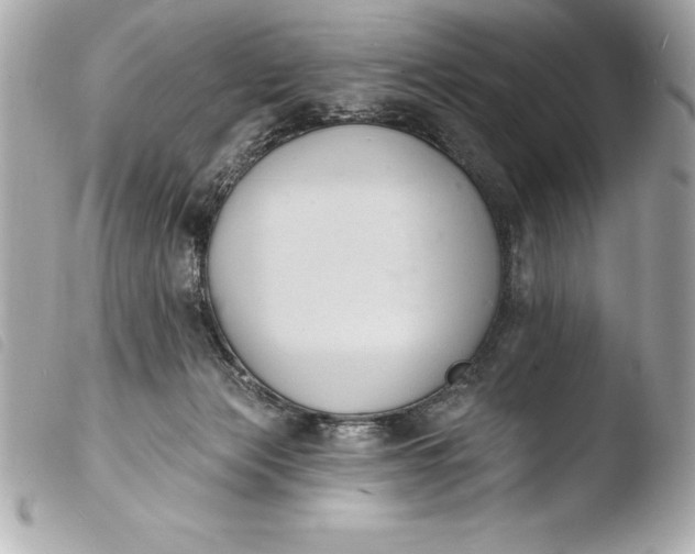 X0000103950173200810031354