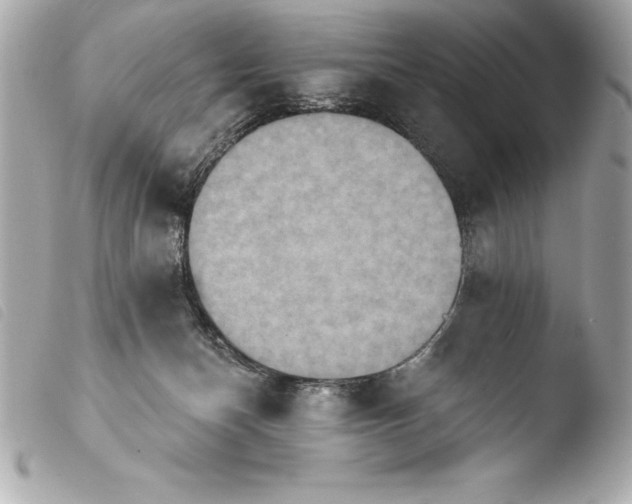 X0000103950174200810031354