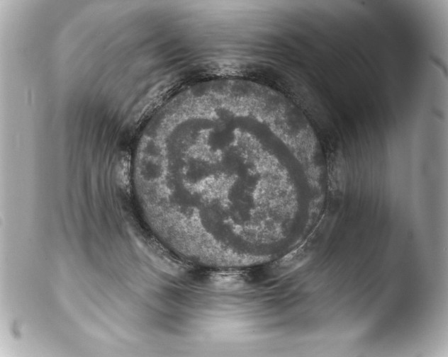 X0000103950175200810031354