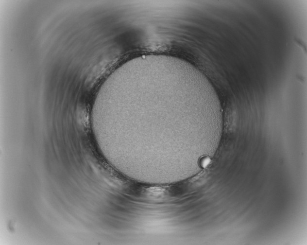 X0000103950176200810031354